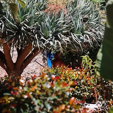 Old Fisherman's Corner 12 - Centro Old Town * Albufeira